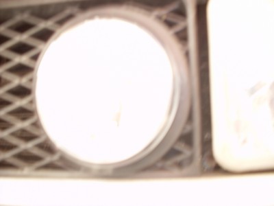 SDC11050.JPG