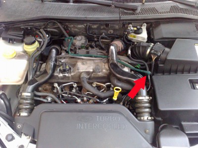 egr 01.jpg