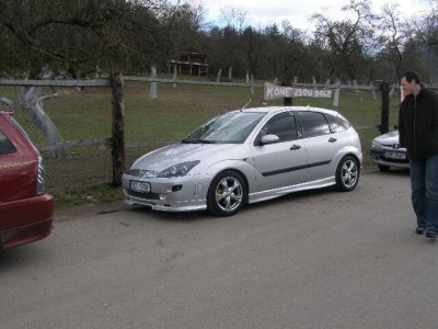Steluv krasavec