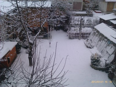 IMAG0393.jpg