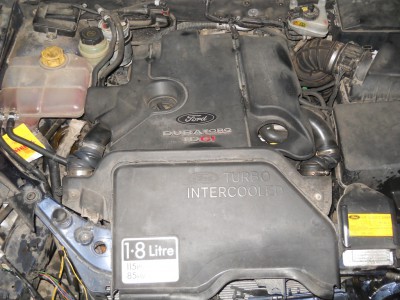 DSCN3835.JPG